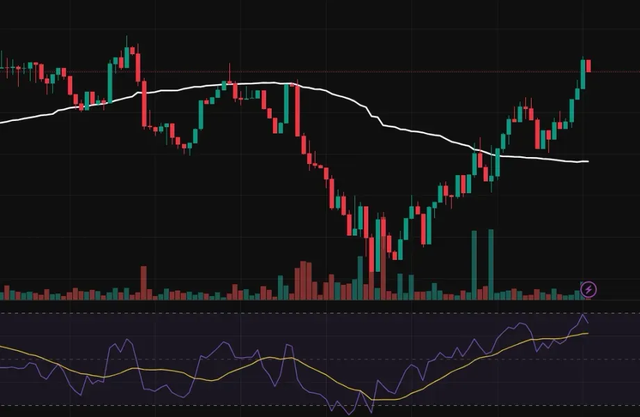 30일 챌린지 3기 2주차