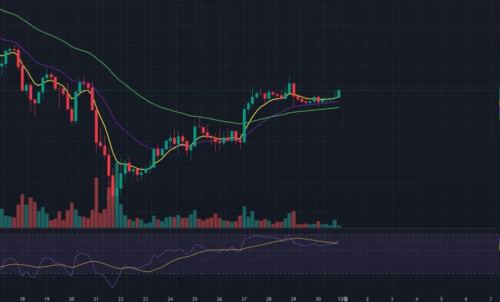 [30일 챌린지 4기 3주차]