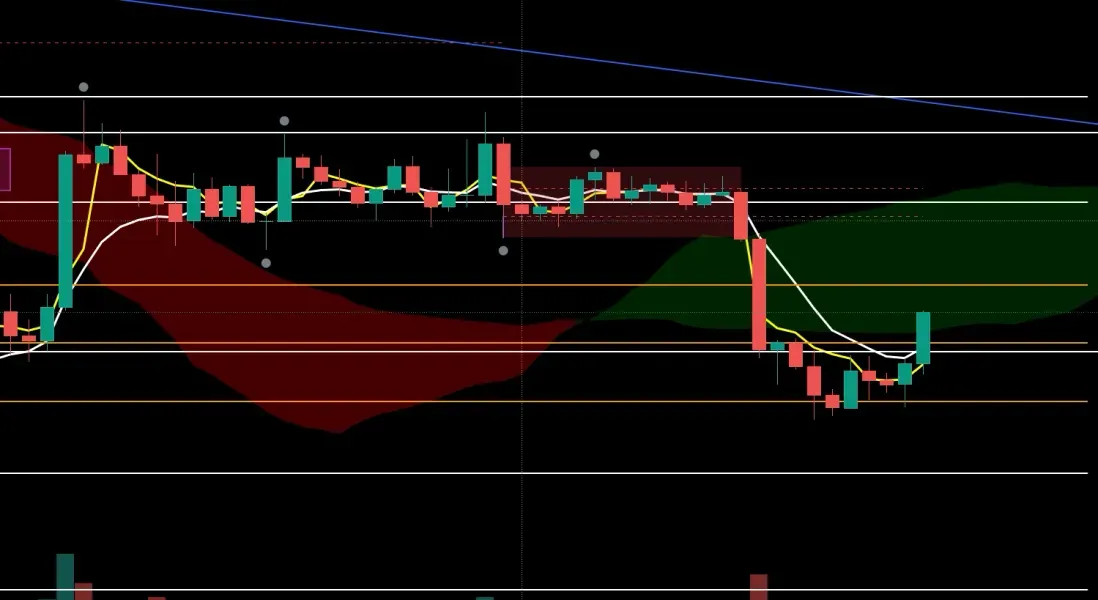 [30일 챌린지 24기 4주차]