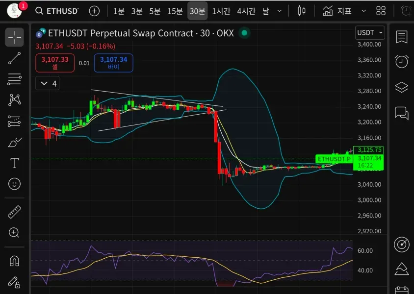 30일챌린지.6기 3주차