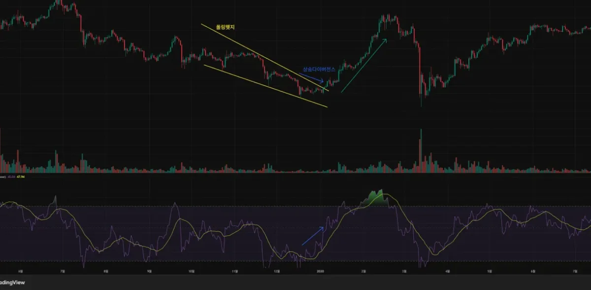 [30일 챌린지 7기 2주차]