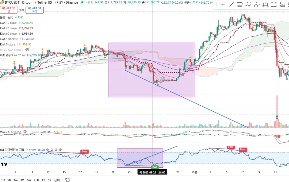 30일 챌린지 26기 2주차 RSI 다이버전스