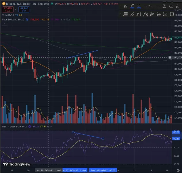 [30일 챌린지 26기 2주차] 다이버전스