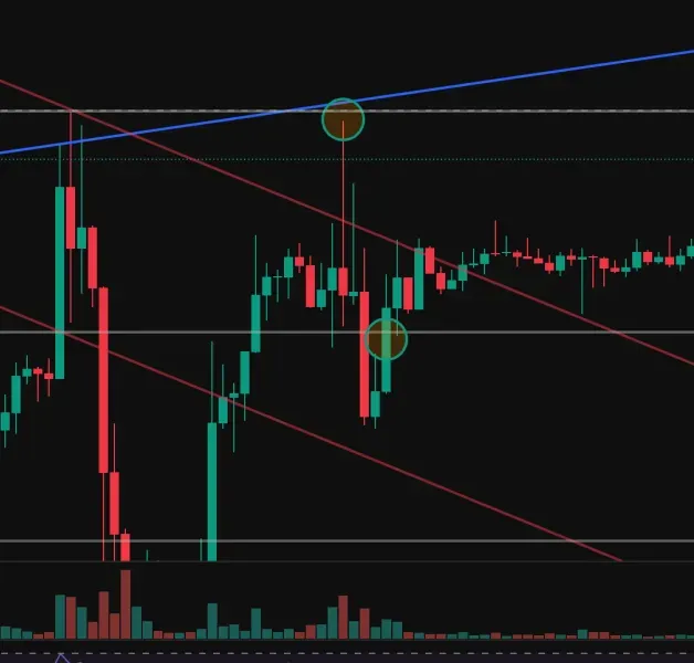  [30일 챌린지 25기 4주차]