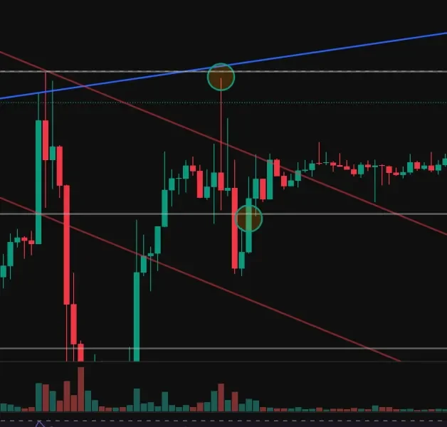  [30일 챌린지 25기 4주차]
