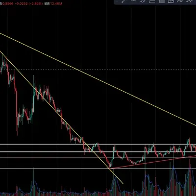 [30일 챌린지 7주기 1주차] - 제타체인