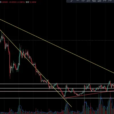 [30일 챌린지 7주기 1주차] - 제타체인