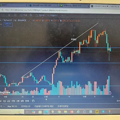   [30일 챌린지 7기 1주차] 추세선