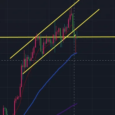 [30일 챌린지 7기 1주차] 추세선과 지지 저항