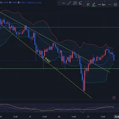 [30일 챌린지 7기 1주차] 지지선, 추세선