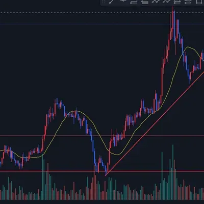 [30일 챌린지 7기 1주차]