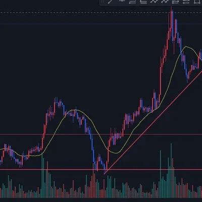 [30일 챌린지 7기 1주차]