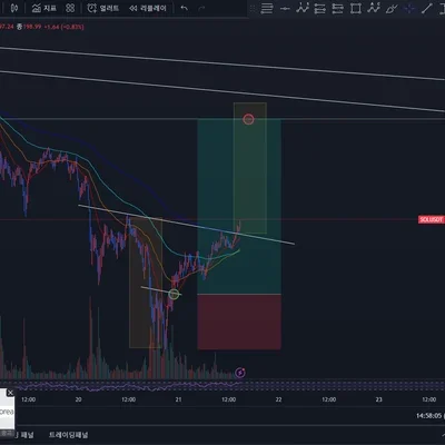 [30일 챌린지 6기 3주차] 솔라나