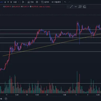 30일 챌린지 7기 1주차