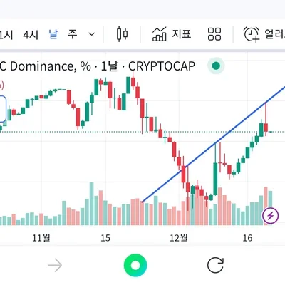 [30일 챌린지 7기 1주차] 비트도미넌스 차트