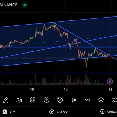 [30일 챌린지 6기 3주차]