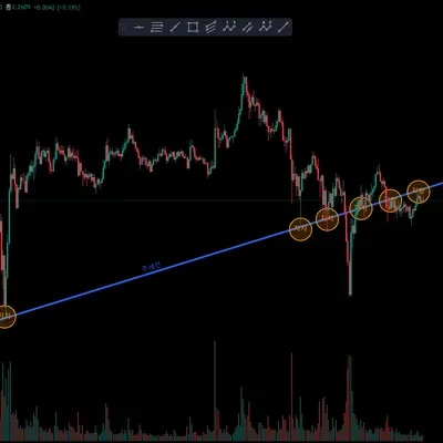 [30일 챌린지 7기 1주차]