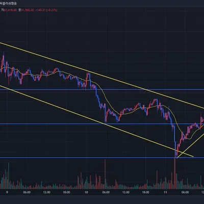 [30일 챌린지 7기 1주차]  N