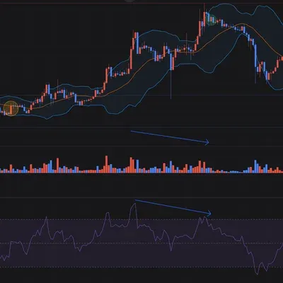 [30일 챌린지 6기 3주차] 실전 경험 쌓기