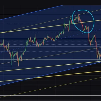 [30일 챌린지 6기 3주차]