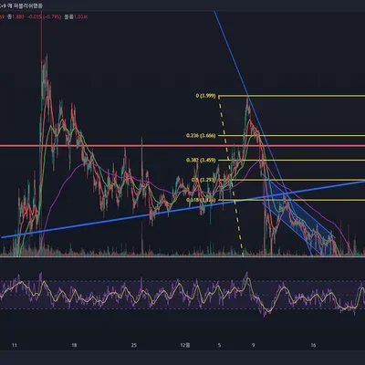 [30일 챌린지 6기 3주차]