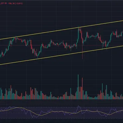 [30일 챌린지 6기 3주차]