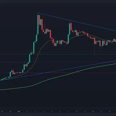 [30일 챌린지 7기 1주차] 5일차 미션