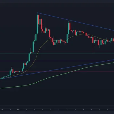 [30일 챌린지 7기 1주차] 5일차 미션