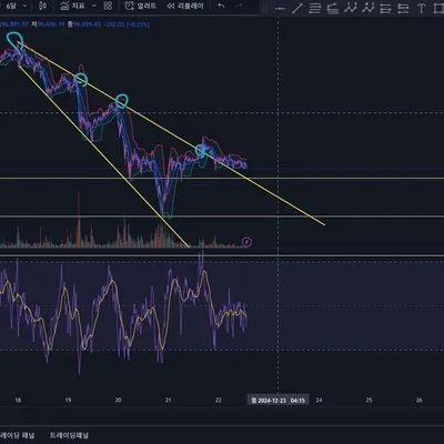 [30일 챌린지 6기 3주차] 실전경험 쌓기
