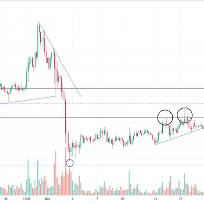 [30일챌린지] 7기 1주차 미션