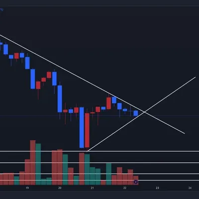 [30일 챌린지 7기 1주차] 지지 저항과 추세선