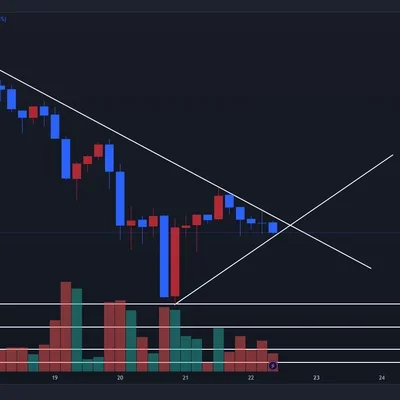 [30일 챌린지 7기 1주차] 지지 저항과 추세선