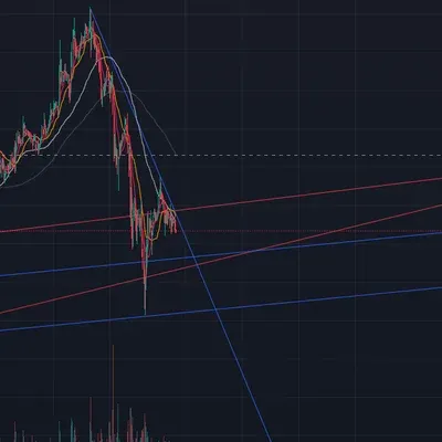 [30일 챌린지 7기 1주차]