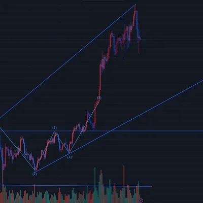 [30일 챌린지 7기 1주차] 차트 분석 시작
