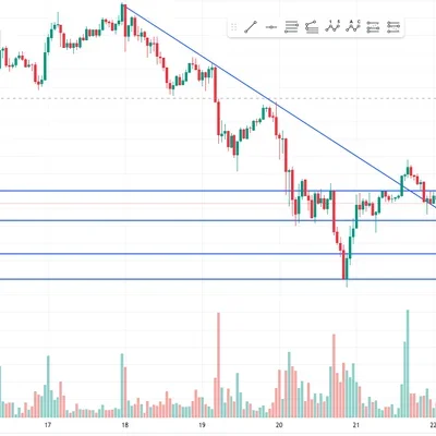 [30일 챌린지 7기 1주차]