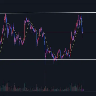 [30일 챌린지 7기 1주차]