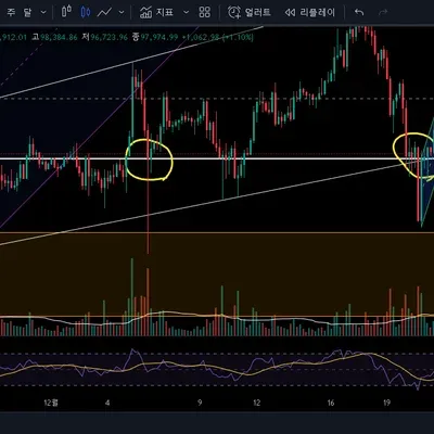 [30일 챌린지 6기3주차]