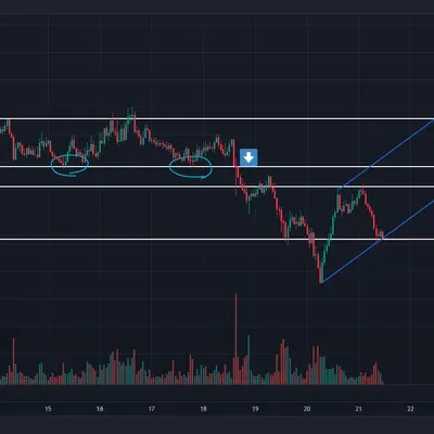 30일 챌린지 7기 1주차 지지와 저항 및 추세선 긋기 입니다.