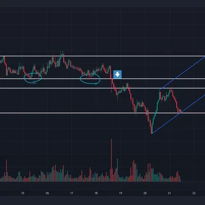 30일 챌린지 7기 1주차 지지와 저항 및 추세선 긋기 입니다.