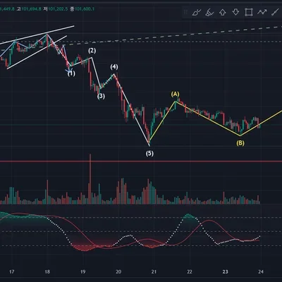 7기 8일차 엘리어트파동 