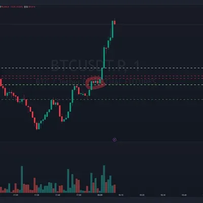 우등생방 수익인증
