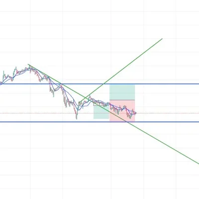 우등생 수익인증