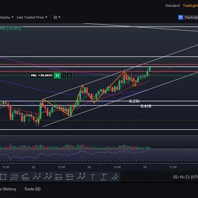 [30일 챌린지 6기 4주차] 추세를 거스르면 국물도 없다 강의 매매