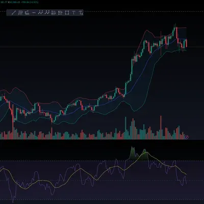 [30일 챌린지 7기 2주차] 비트 rsi