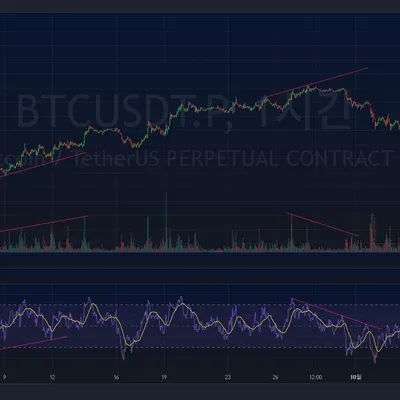 [30일 챌린지 7기 2주차]