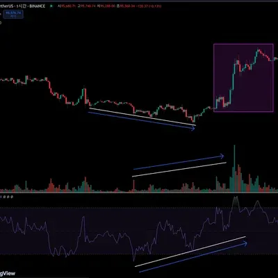 [30일 챌린지 7기 2주차] RSI와 다이버전스 확인