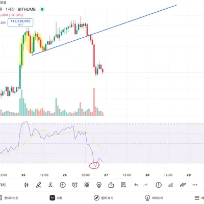 [30일 챌린지 7기 2주차] 
