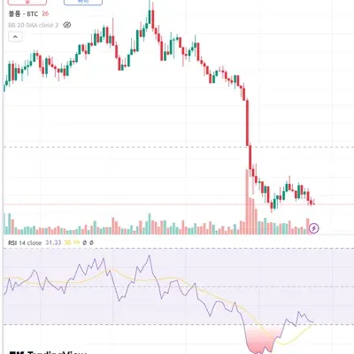 [30일 챌린지 7기 2주차]  비트코인 RSI 지표 추가 및 캡쳐