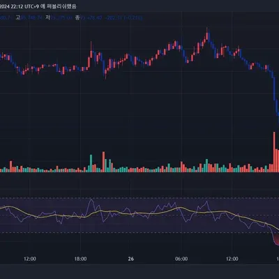 [30일 챌린지 7기 2주차]RSI 지표 활용