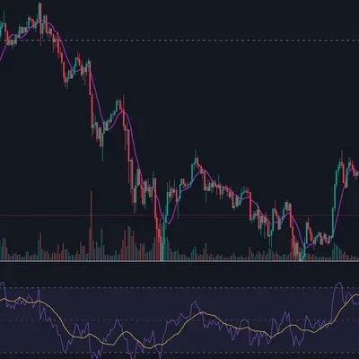 [30일 챌린지 7기 2주차]